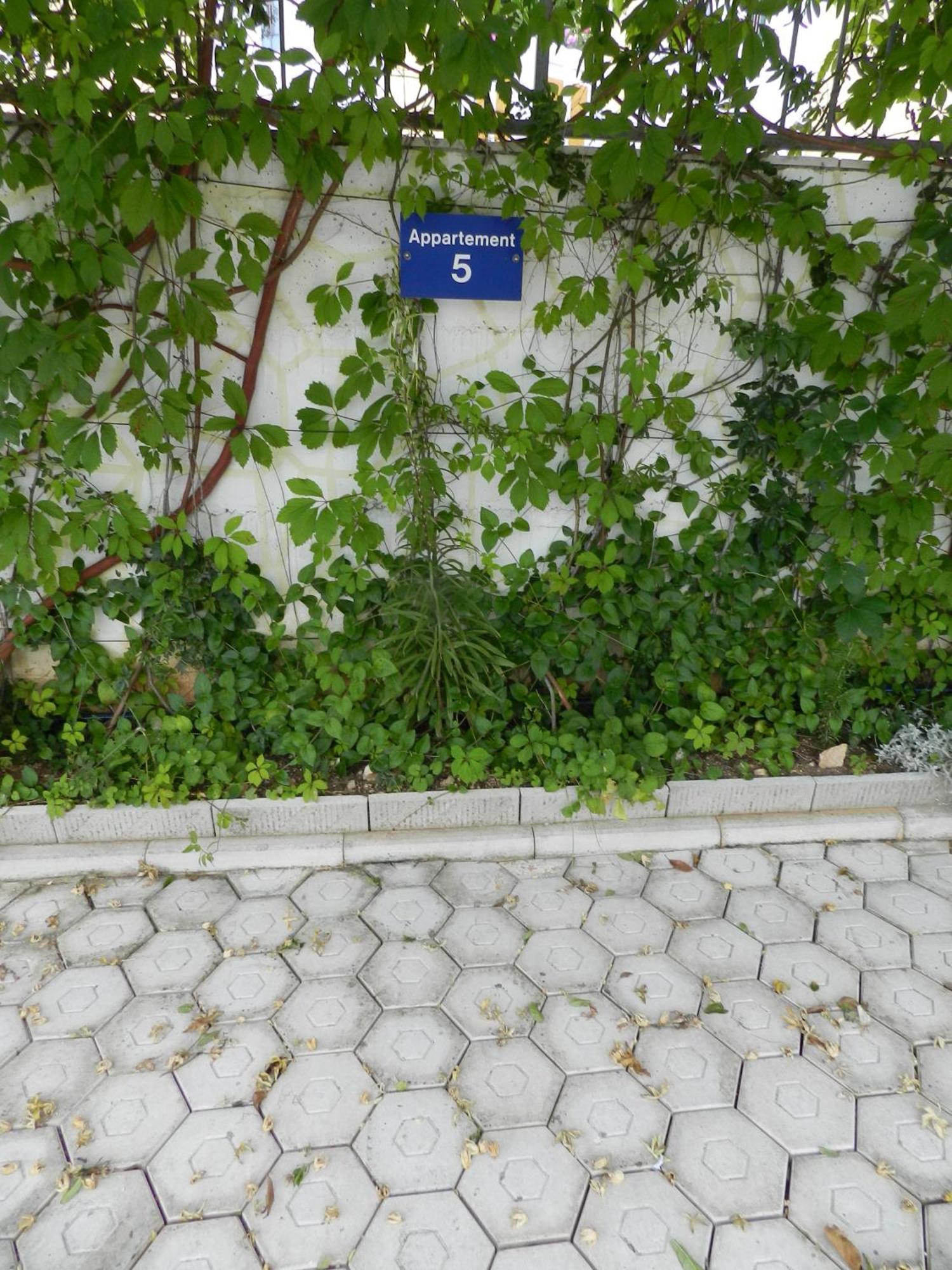 Apartments Kaskada مارينا المظهر الخارجي الصورة