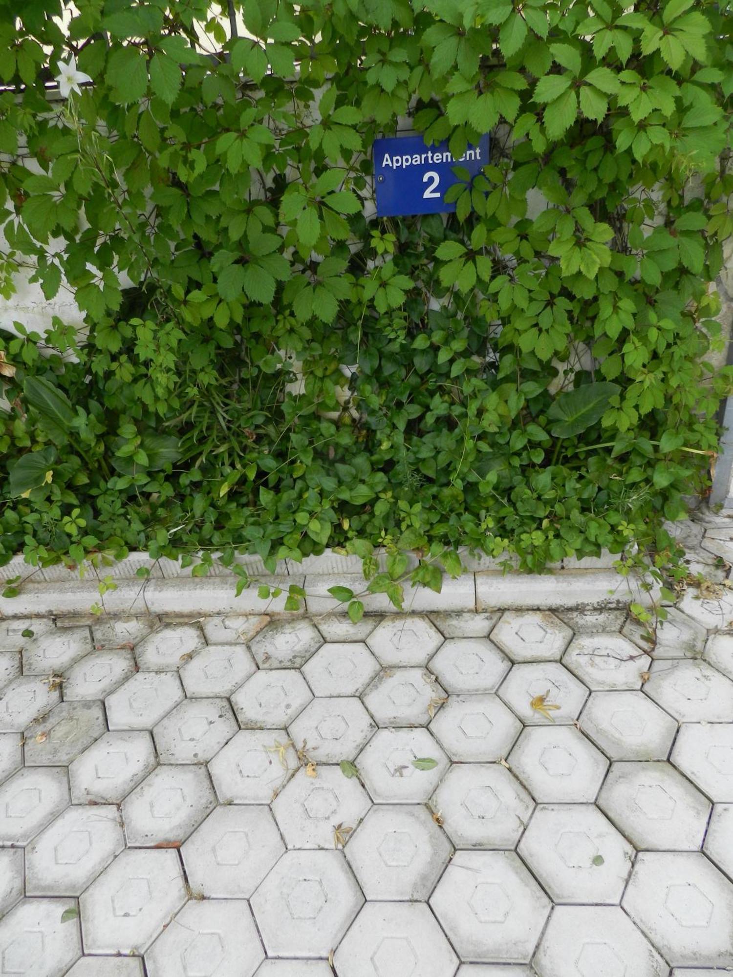 Apartments Kaskada مارينا المظهر الخارجي الصورة